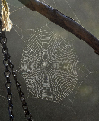 balcony web