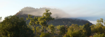 morning mist on Red Rock