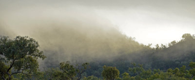 morning mist on Red Rock