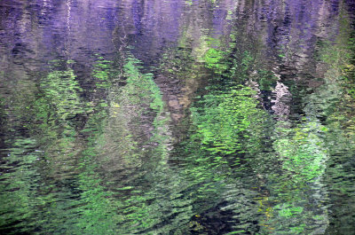 Tully River reflections