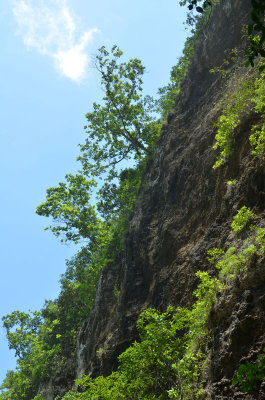 limestone cliff