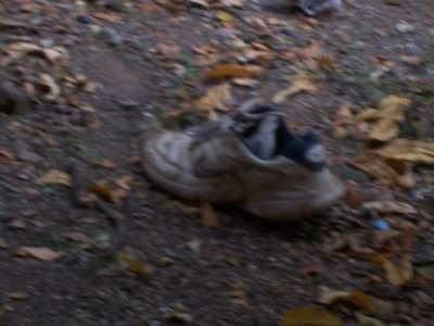 100_1427.jpg