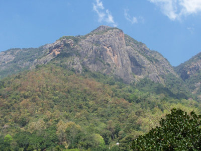 100_2003.jpg