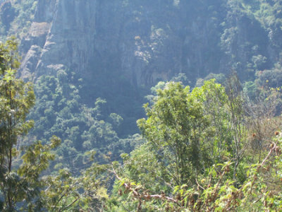 100_2010.jpg