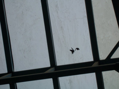 100_2229.jpg