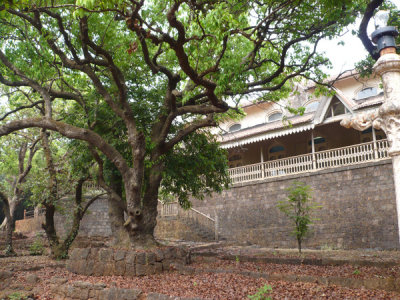 P1000221.jpg