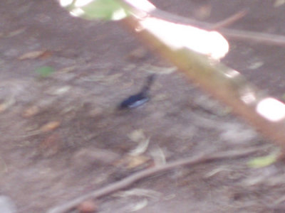 100_1442.jpg