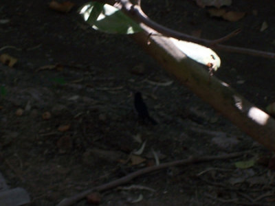 100_1444.jpg