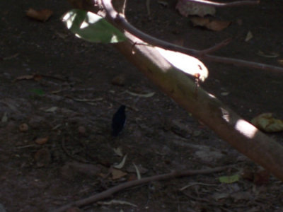 100_1445.jpg