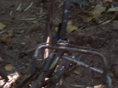 100_1446.jpg