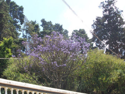 100_2024.jpg