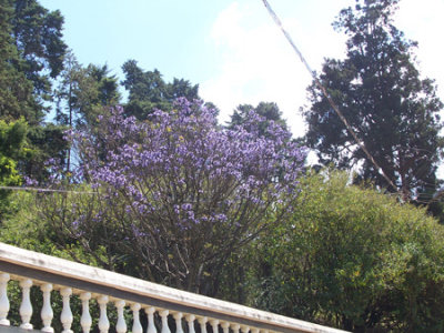 100_2025.jpg