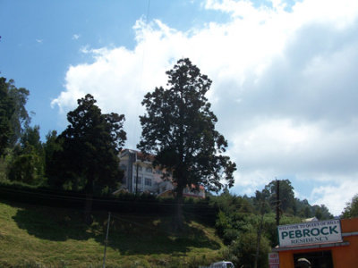 100_2026.jpg