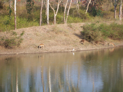 100_2034.jpg