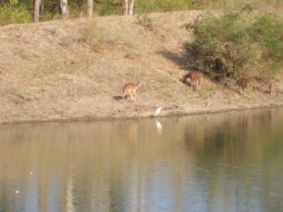 100_2035.jpg