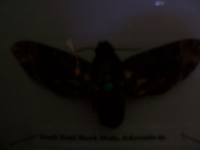 100_2240.jpg