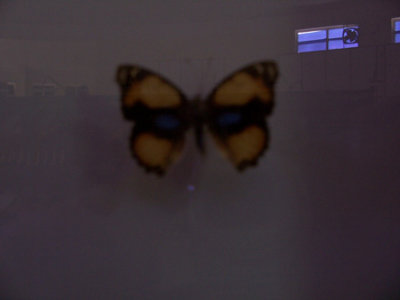 100_2244.jpg