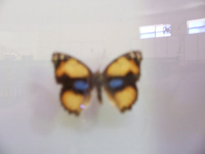 100_2246.jpg