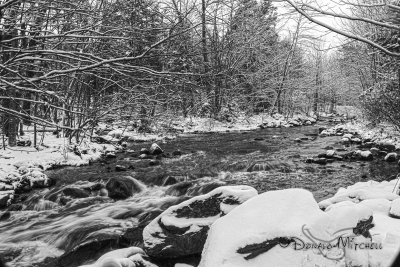 Needs color or just maybe spring!