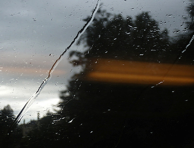 005.JPG
