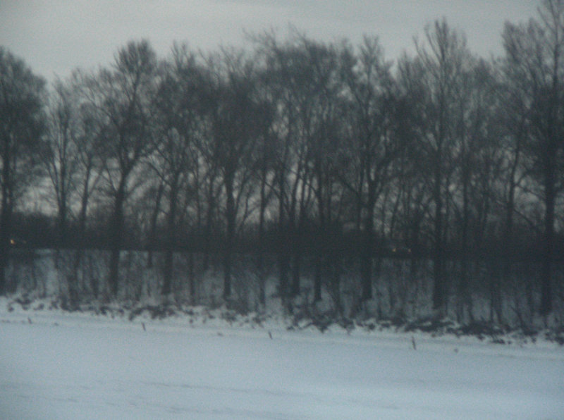 P1260229a.jpg