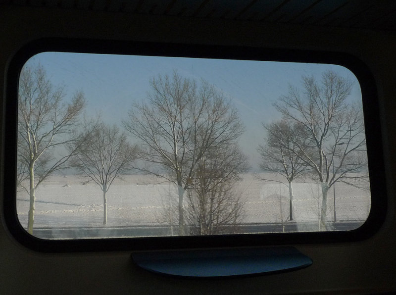 P1080155a.jpg