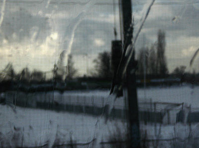 P1260139a.jpg