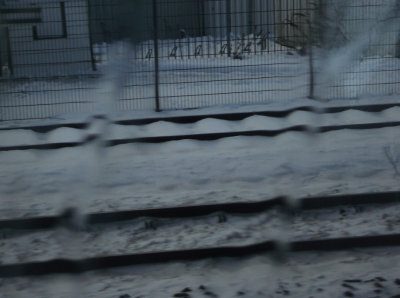 P1260140a.jpg