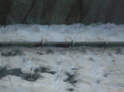 P1260143a.jpg