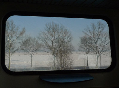 P1080155a.jpg