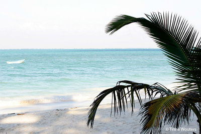  Pongwe Beach
