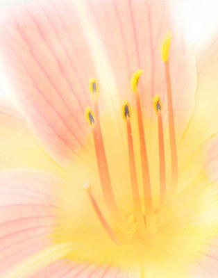 July - Assignment - High Key
