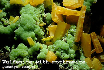 Wulfenite with Mottramite