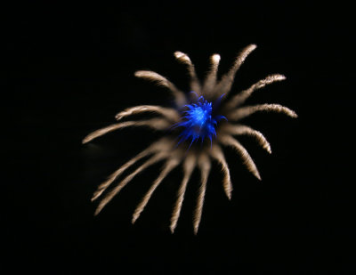 Fireworks_0120