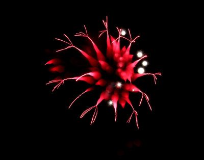 Fireworks_0186