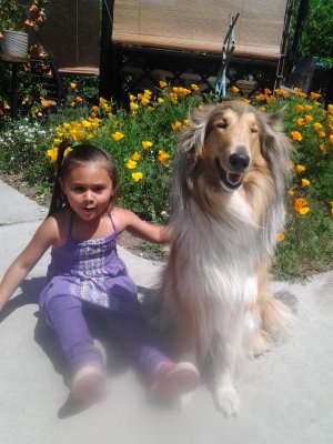 2013-04-23 13.09.05.jpg