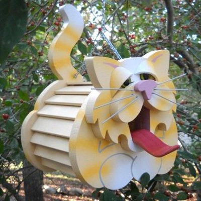 Stella Cat.jpg