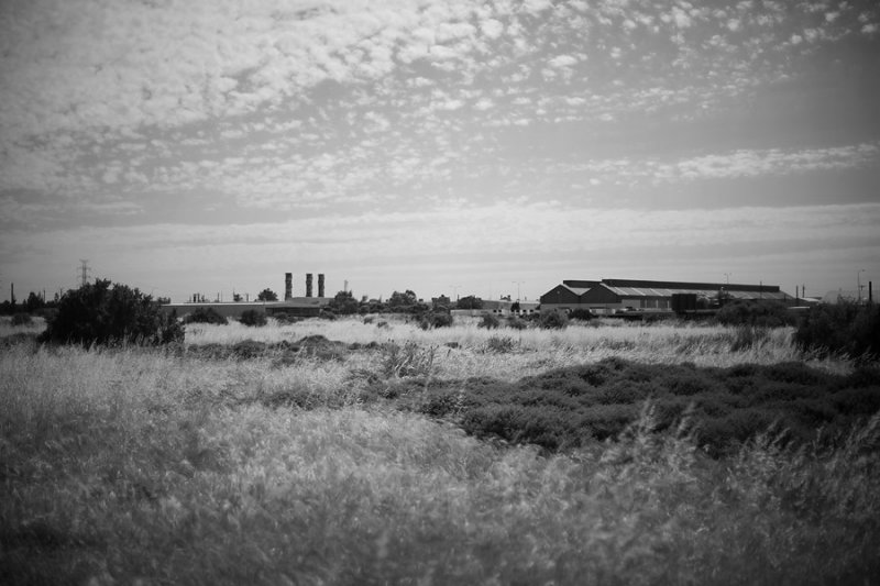 Scrublands