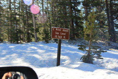 Trail Ridge Road