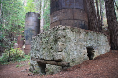 Limekiln State Park,
Big Sur