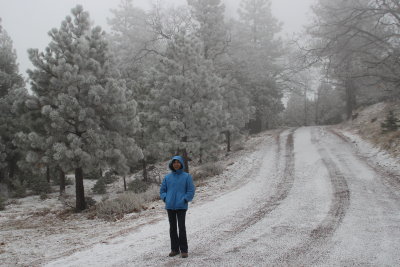 tehachapi13_4006.JPG