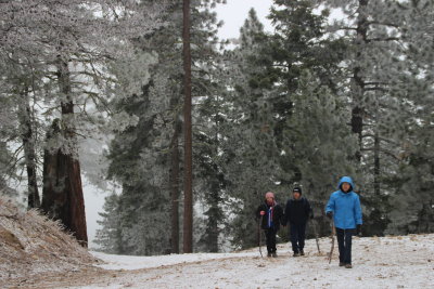 tehachapi13_4017.JPG