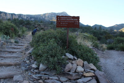 Emory Peak Trail