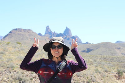 Mule Ears Viewpoint