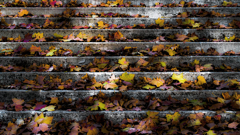 stairway to winter