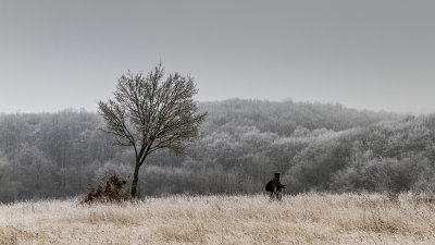 winter hike