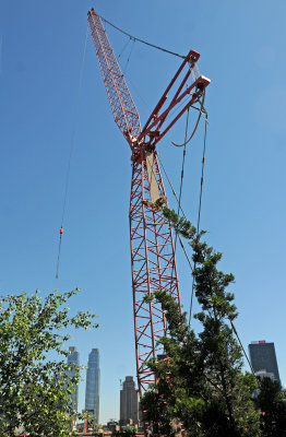 DSC_3606.JPG
