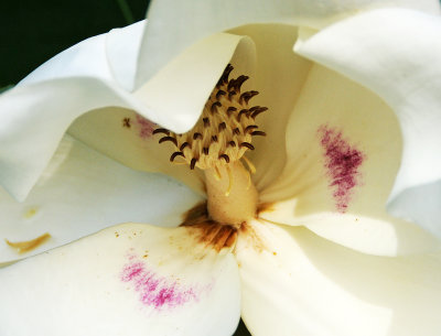 DSC_3621.JPG
