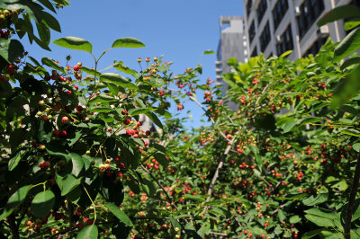 DSC_3623.JPG