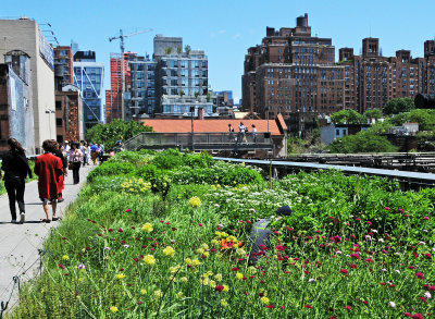 Spring 2013 - Highline